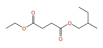 Ethyl 2-methylbutyl succinate